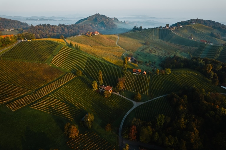 Die Landschaft der Südsteiermark im Herbst